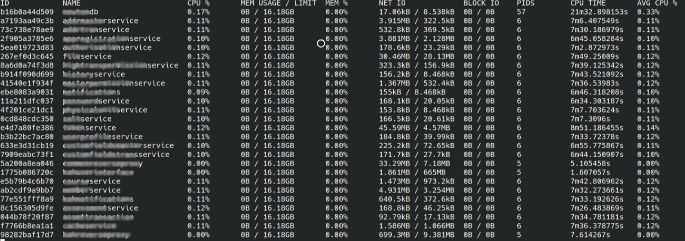 Rust memory usage